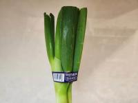 『硬いから捨ててる』ってやめて！？【八百屋歴15年】が教える「緑の部分の超〜美味しい食べ方」