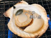 鮨屋の大将「ホタテの黒い点、アレね…」【驚愕の事実】これでも食べれる？浜焼きやBBQで知っておきたい事とは