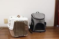 【ペットがいる人は、絶対に用意してー！】防災士が警告→「意外と盲点だった…」「すぐやります」【防災の新常識】