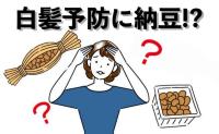 「納豆が白髪に良いらしい」友人の言葉を信じて2カ月。毎朝食べ続けた結果、白髪はどうなった？