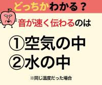音が速く伝わるのはどっち？【意外と不正解者続出（涙）】空気？水？→「逆だと思ってた！！」