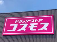 『ヒルナンデス』効果で→棚から消えそう！？【コスモス】ミキティも大絶賛！コスパおかしい3選