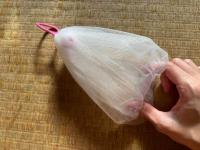 「同じラックを4台も？」「再入荷を待って即買い」【ダイソー】770円を必死に探し回るファン続出