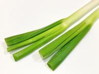 【こんな長ネギは絶対に食べちゃダメーー！】"スーパー青果部"のジャッジに→「え！そこ見るの！？」「本気で一生忘れません」