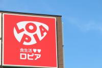 「次の入荷は1ヶ月先（泣）」みんな続々とカゴ入れてた！【ロピア】「訳ありで超お得」「ズドーーン！！迫力のどでかサイズが鎮座」鬼コスパ3選