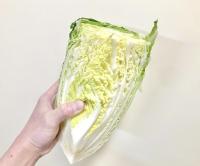 ありえない！【SNSで物議を醸した"白菜の切り方"】もったいなくない？→スーパー青果部の回答に「へぇ〜ボタン連打したい！」