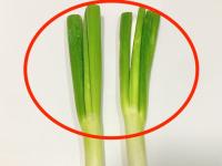【ネギの青い部分、食べたらヤバイ？】スーパー青果部「農林水産省所管の公的機関も説明してますが…」