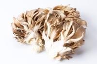 【まいたけはコレ覚えとけばいい！】「え？ドボンするだけ!?」ごくごく飲める"旨み爆発"の食べ方→「騙されたと思って作ってみて」