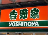 もう牛丼やめてこっちにするわ！【吉野家、その手があったか…】「一人前344円」「お肉ずっしりで大満足」お得なのは？コスパを比較
