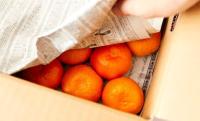 【みかん冷蔵庫に入れるべきって本当？】プロが教える「2〜3週間長持ち」保存法「えぇ！？」「知らなかった…」意外な結果