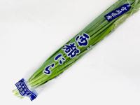 「とりあえず野菜室で保存」←間違ってたぁぁーー!!野菜の上級プロが教える「長持ち＆使いやすさアップ」裏ワザ試してみた！