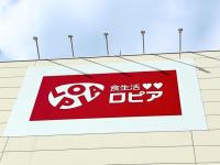 【とうとうロピアで見つけた】600gで999円「こんなウマいチーズがたくさん食べられるとは…」