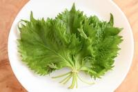 【大葉はすぐ野菜室に入れないで！？】実は"1カ月"も長持ちする！「早く教えてよ」「即シナシナ回避」料理家がやってる裏ワザ