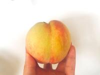 【お願い！スーパーの桃"触って押して確認"絶対やめて！】「見るべきはココ！」八百屋直伝"おいしい選び方"5つのポイント→答えは超簡単！