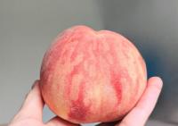 【こんな桃、絶対に食べちゃダメーー！】"青果のプロ"のジャッジに→「危なっ」「一生忘れないようにする」