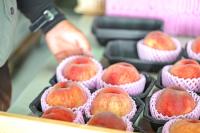 【やってたらマジでやめてーー！！】スーパーの"超NG行為"「気持ちはわかりますが…絶対しないで」店員さんが本気でヒヤリ→「気をつけます…」