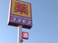 もうスーパーで買えないよ！【コスモス】でしか買えない「もう自炊や〜めた！」「思わず3種類カゴに」全種類制覇すべき専売品
