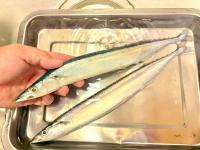 【サンマ、グリルで焼かなくていいの知ってる？】プロの"驚き技"に「もう普通の焼き方に戻れないよ…」いや〜参りました！