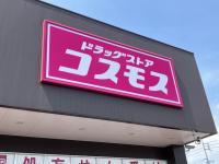 「ハンバーガーからチーズバーガー」お客さんみんなカゴに入れちゃう！？【コスモス】「こんなウマい食料品が買えるとは...」お得系5選