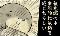 「ぴた…」昼間の態度とは一変！本能的に危機を感じて…？！