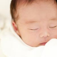 ニュース一覧 ベビーカレンダー