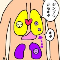 「知らなかった…」がんの転移って? 転移したときのステージって? #43歳で腎がんになった話 21