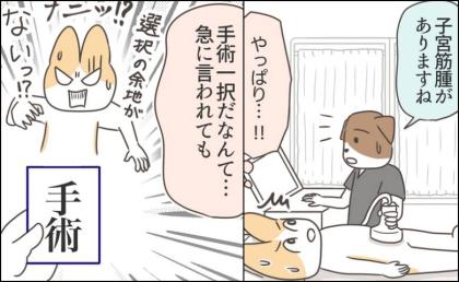 「子宮全摘以外はない」多発性子宮筋腫と診断。20年検診を避けた結果 #アラフィフが子宮全摘 3
