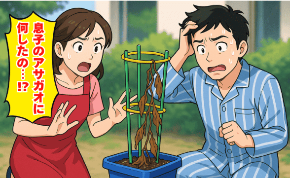 連載記事