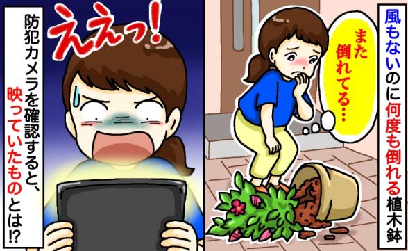 連載記事