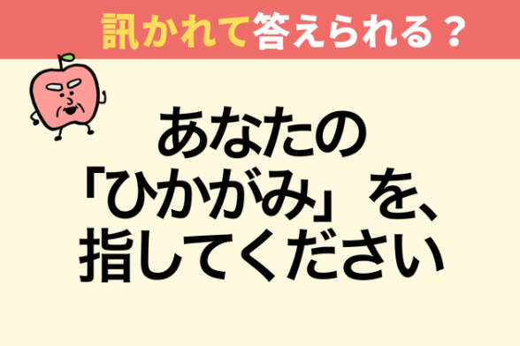 連載記事