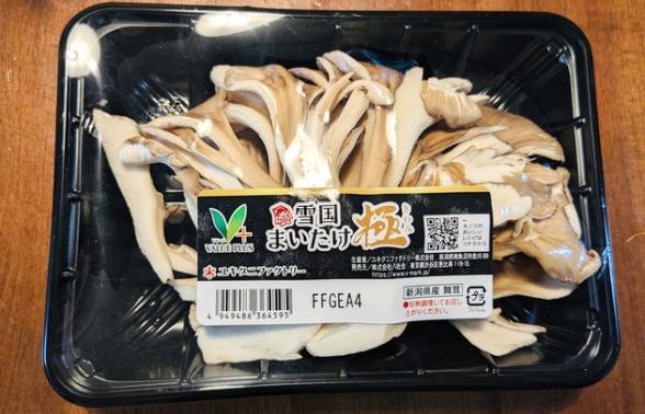 連載記事