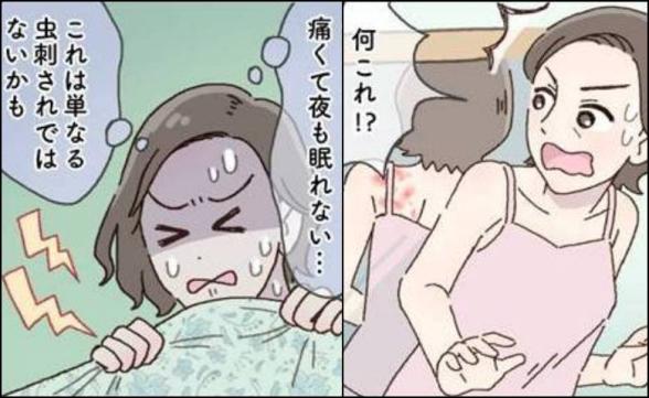 連載記事