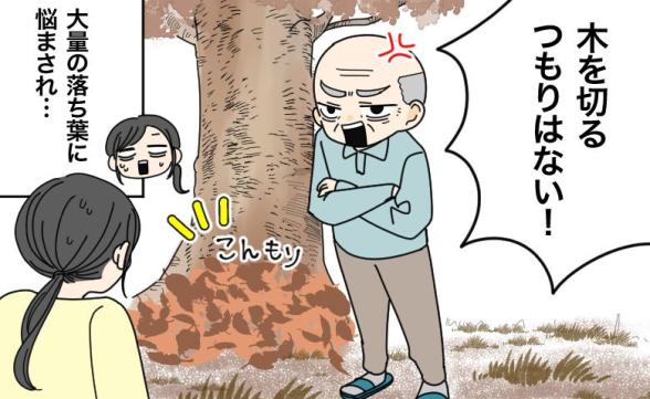 連載記事