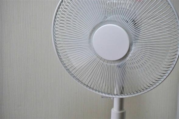 連載記事