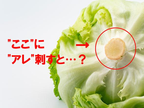 連載記事