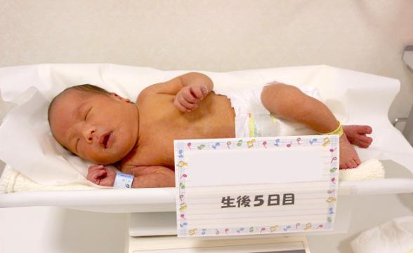 連載記事