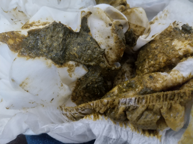 見通しはどうですか?