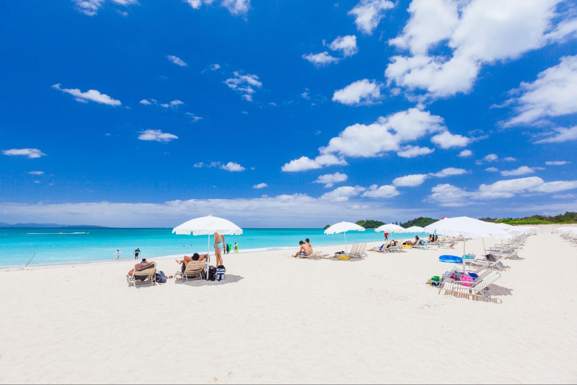 沖縄本島の最北端に行ったことある？ 国頭村観光協会に聞いた、小さな子どもと楽しむやんばるの自然旅【沖縄・国頭村】