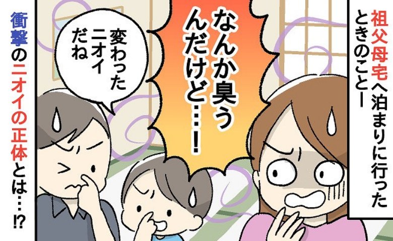 「クサっ！」夫の祖父母宅で漂う独特のニオイ。押し入れを開けて絶句！ヤバいニオイの正体は？