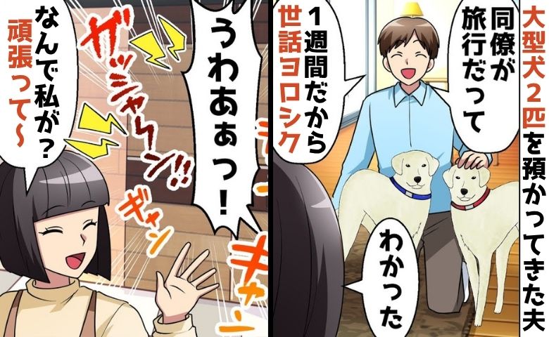 「世話はヨロシク！」勝手に大型犬2匹を預かってきた夫→丸投げされ頭にきた私は…夫のしつけを決行！