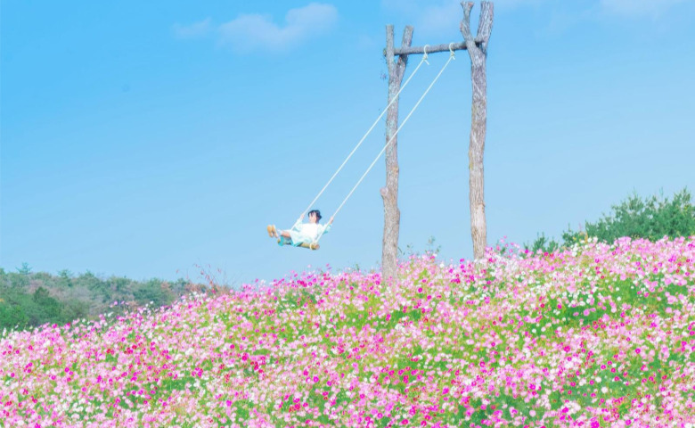 四季の花と空に舞うブランコ♡子連れで楽しむ「花の駅せら」絶景フォト＆見どころ満載ガイド【広島】
