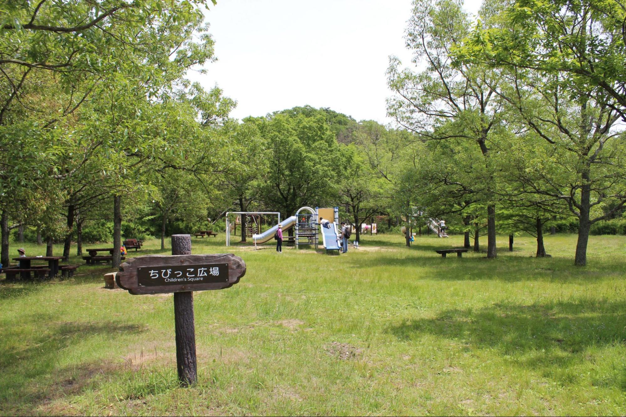 森林公園