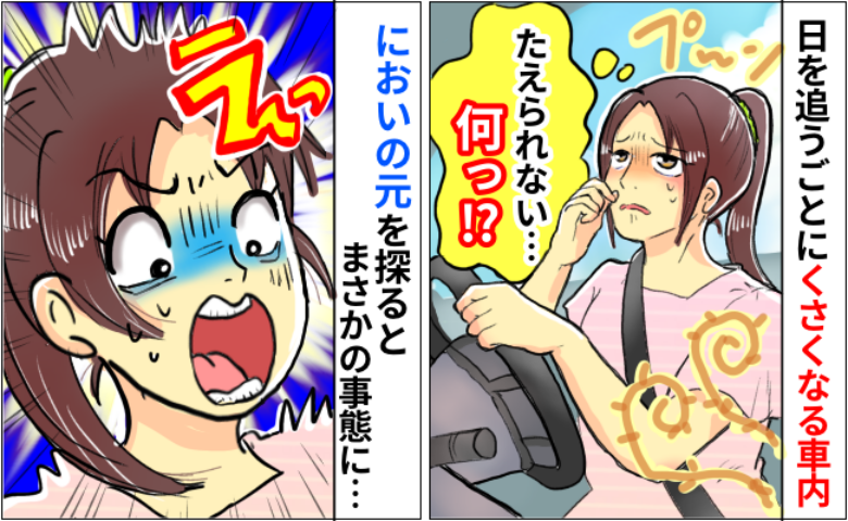 「ギャァアア！！」毎日徐々に臭くなる車内…もう耐えられない！原因を探ると、とんでもない光景が！？