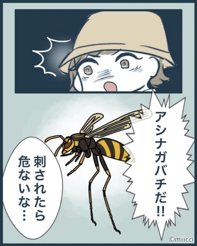となりの庭に泣かされた／みぃ子