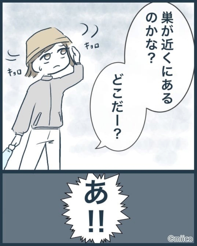 となりの庭に泣かされた／みぃ子
