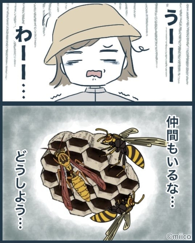 となりの庭に泣かされた／みぃ子