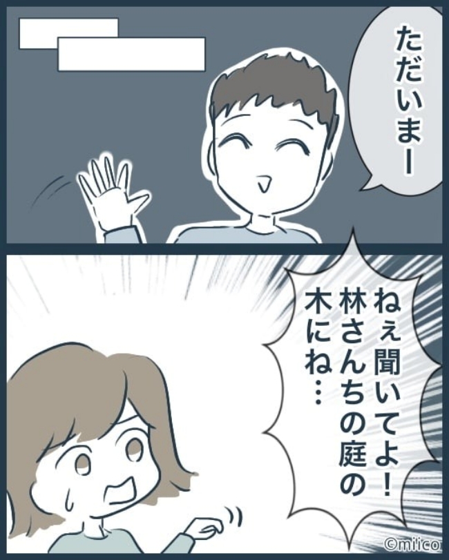 となりの庭に泣かされた／みぃ子