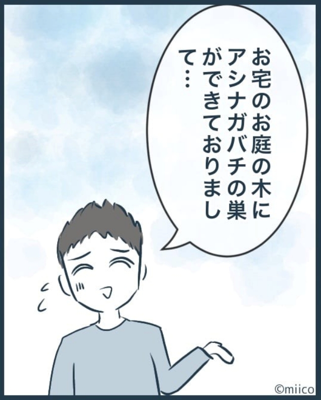となりの庭に泣かされた／みぃ子