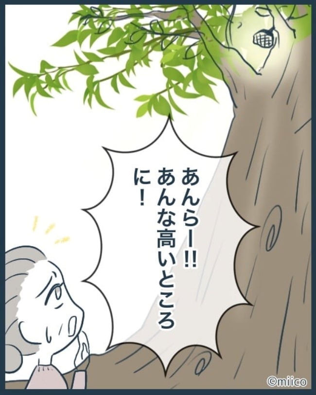 となりの庭に泣かされた／みぃ子