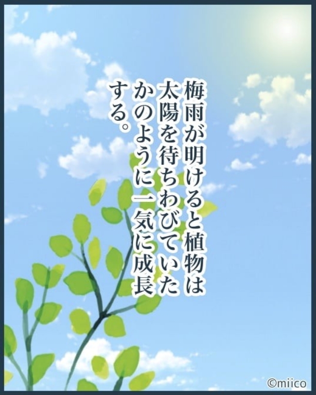 となりの庭に泣かされた／みぃ子